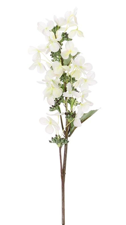 Hortensie paniculata Ø 14 cm y 36 flores & 3 hojas & 16capullos, 75 cm