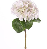 Hortensia "Sensitive", Ø 18cm, 52 bloemblaadjes & 5 bladeren, 60cm