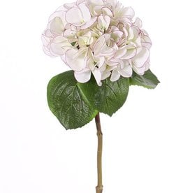 Hortensie "Sensitive", Ø 18cm, 52 Blüten, 5 Blätter, 60cm