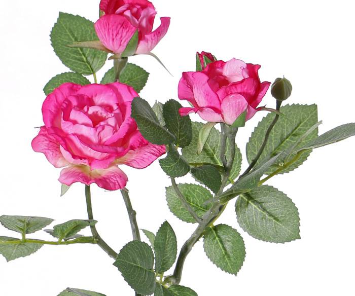 Rama de Rosas "Elsa", 3 flores (Ø 7/5/3,5cm), 2 capullos, 32 hojas, 48 cm