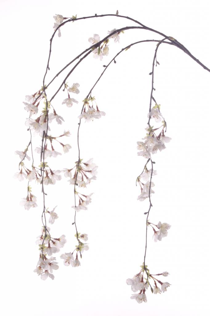 Flores de cerezo, colgante, 91 flores, 120cm