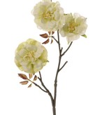 Wild rose twig, "Little Joy" x3 flrs & 10 lvs., 38cm