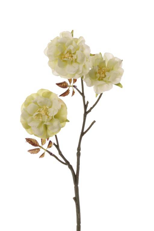 Wild rose twig, "Little Joy" x3 flrs & 10 lvs., 38cm