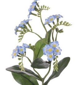 Vergeet-me-niet (Myosotis) korte steel 36cm