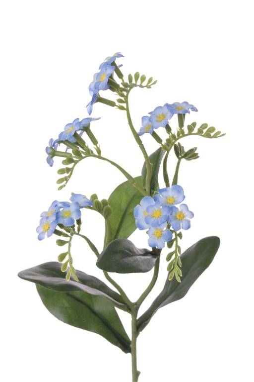 Myosotis, 24 flores, 63 capullos, 6 hojas, 36cm