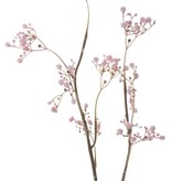 Gypsophila "Fantasy" con 8  racimos de flores, 66cm