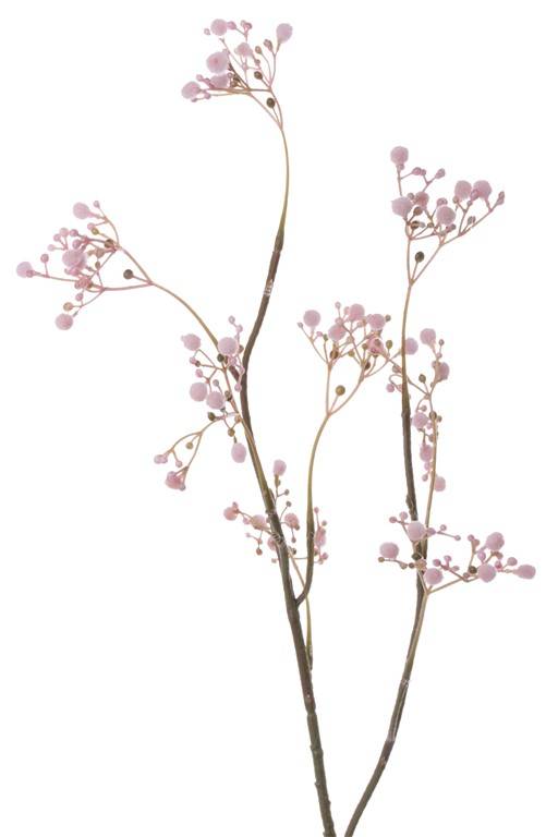 Gypsophila "Fantasy" x8 clusters, 66cm