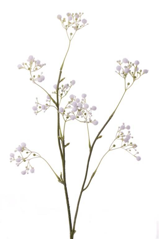 Gypsophila "Fantasy" con 8  racimos de flores, 66cm