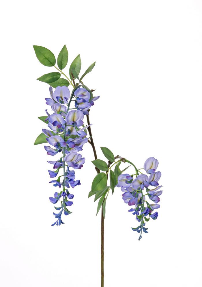 Wisteria sinensis "de luxe", 2 flores (30cm/15cm), 29 hojas, 105cm