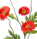 Poppy flower, 5 flowers, (Ø 5cm), 4 lvs., 63cm