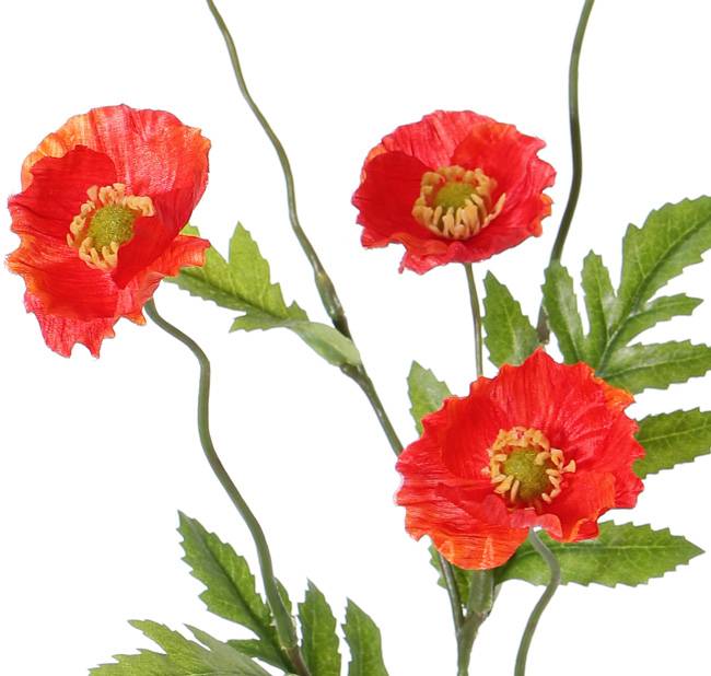 Poppy flower, 5 flowers, (Ø 5cm), 4 lvs., 63cm