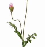 Poppy 'Shiny', 1 flower (3 layers, Ø 12cm) & 1 bud, flocked, 2 leaves, 65cm