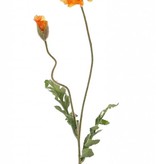 Papaver (Klaproos) 'Shiny', 1 bloem (3 laags, Ø 12cm) & 1 knop, flocked, 2 blad, 65cm