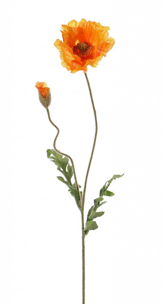 Poppy 'Shiny', 1 flower (3 layers, Ø 12cm) & 1 bud, flocked, 2 leaves, 65cm