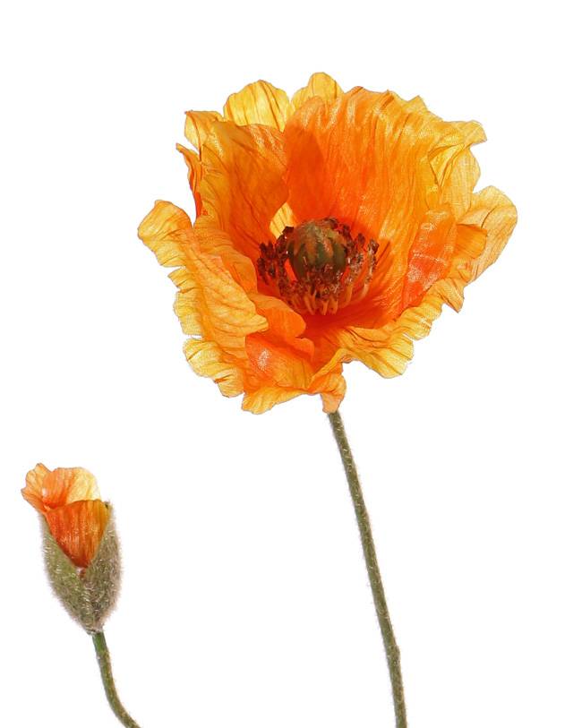 Poppy 'Shiny', 1 flower (3 layers, Ø 12cm) & 1 bud, flocked, 2 leaves, 65cm