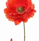 Papaver (Klaproos) 'Shiny', 1 bloem (3 laags, Ø 12cm) & 1 knop, flocked, 2 blad, 65cm