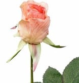 Rose Gina, 2lvs, short stem, 35cm - special offer