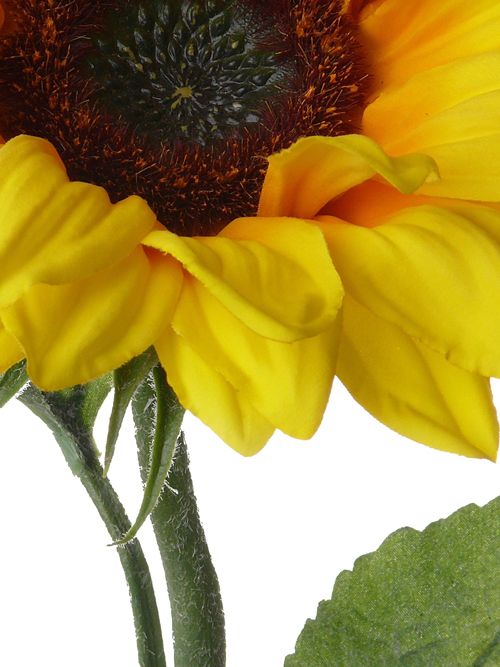 Sonnenblume mit 3 Blättern, 81cm, Ø 17cm