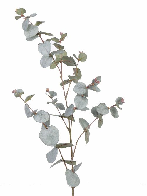 Eucalyptus branch, 30lvs, 86cm