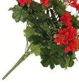 Geranium austríaco, 40cm