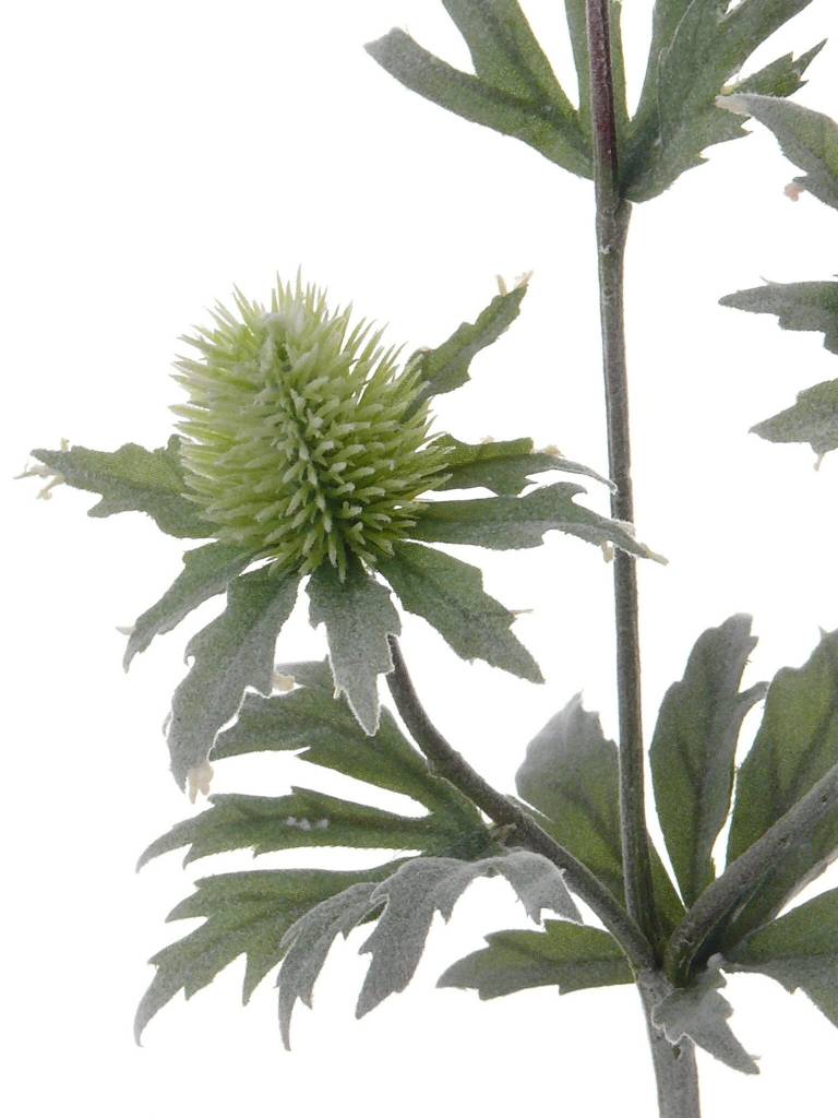 Distel x 3 40 cm