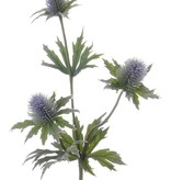 Thistle spray x3, 40cm