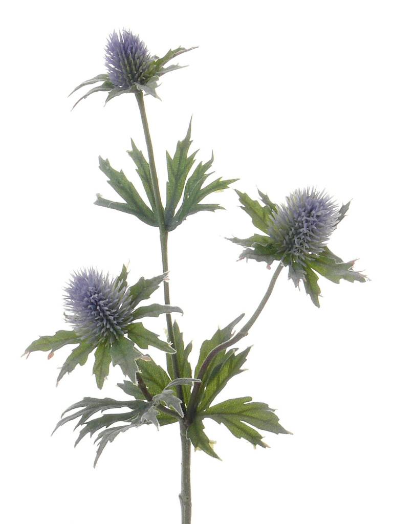 Thistle spray x3, 40cm