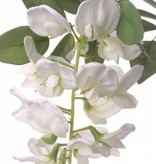 Wisteria "de luxe", 2 flowers (30cm/15cm) and 29 lvs., 105cm