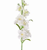 Delphinium, 12 flores, 8 capullos, 3 hojas,  60 cm