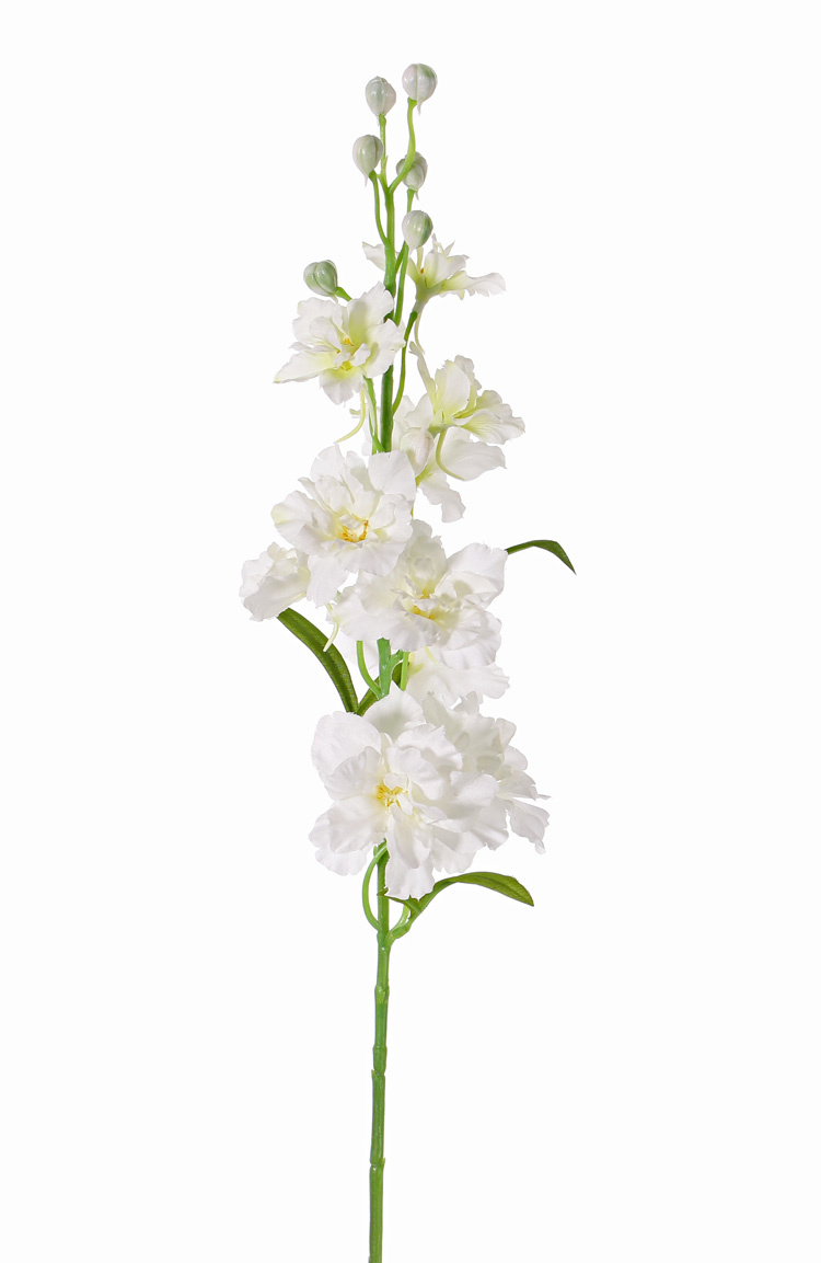 Delphinium, 12 flrs., 8 bud, 3 lvs, 60cm