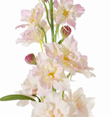 Delphinium Rittersporn, 12 Blumen, 8 Knospen, 3 Blaetter, 60cm