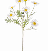 Margeriten (Leucanthemum) 7 Blumen (Ø 5cm), 1 Knospe, 7 Blätter, beflockt, 57cm