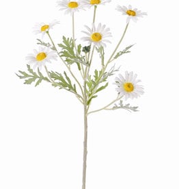 Margeriten (Leucanthemum) 7 Blumen (Ø 5cm), 1 Knospe, 7 Blätter, beflockt, 57cm