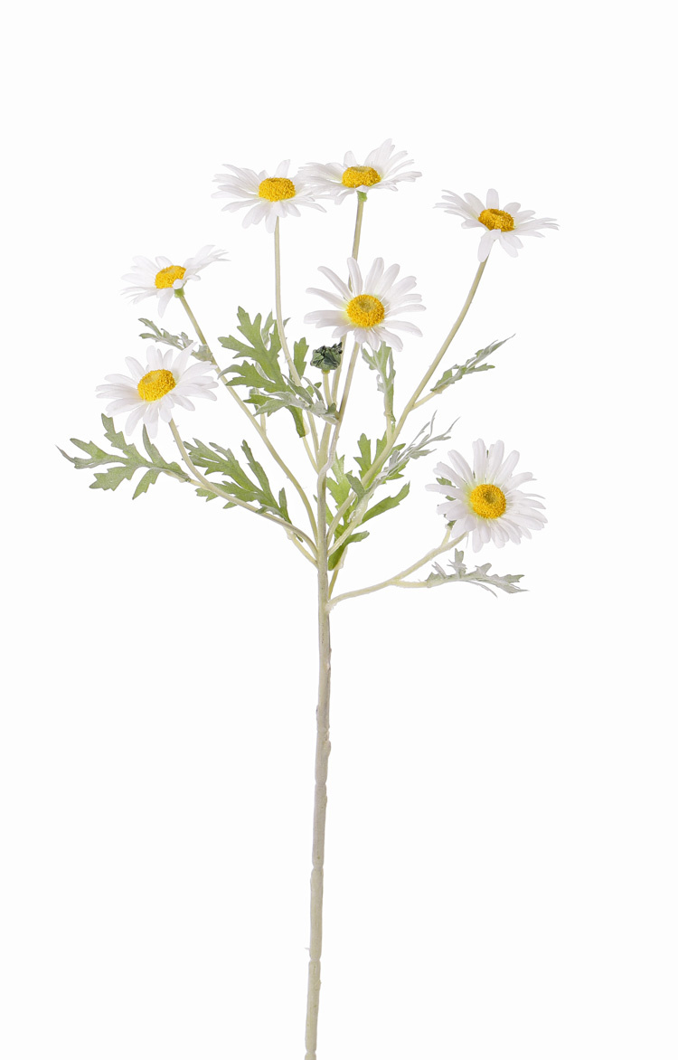 Leucanthemum, 7 flores (Ø 5cm), 1 capullo, 7 hojas, flocado, 57cm