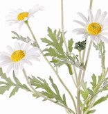 Leucanthemum, 7 flores (Ø 5cm), 1 capullo, 7 hojas, flocado, 57cm