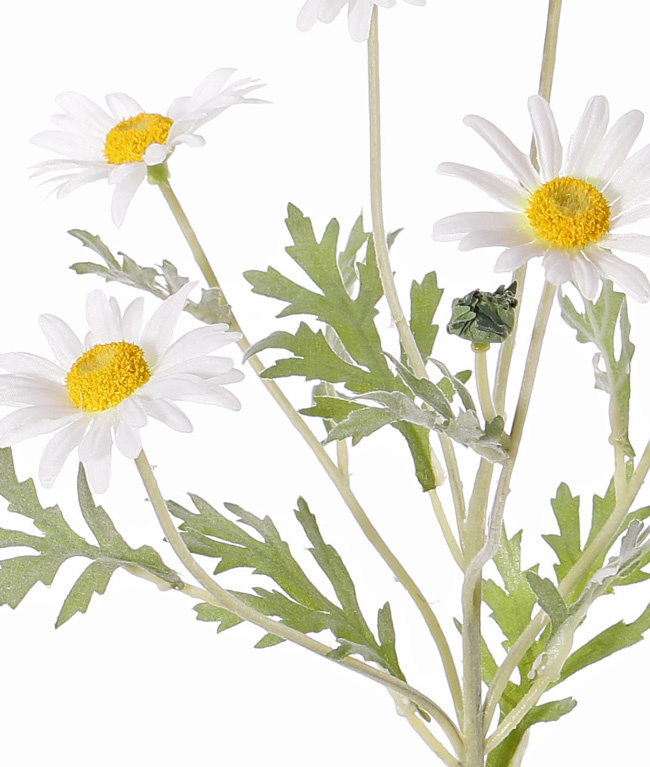 Leucanthemum, 7 flowers (Ø 5cm), 1 bud, 7 lvs., flocked, 57cm