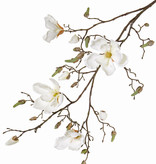 Magnolien-Zweig, 4 Blumen, 22 Knospen, 107cm