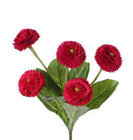 Bellis perennis (Gänseblümchen), 5 Blumen (Ø 4.5cm), 7 Blätter, 24 cm