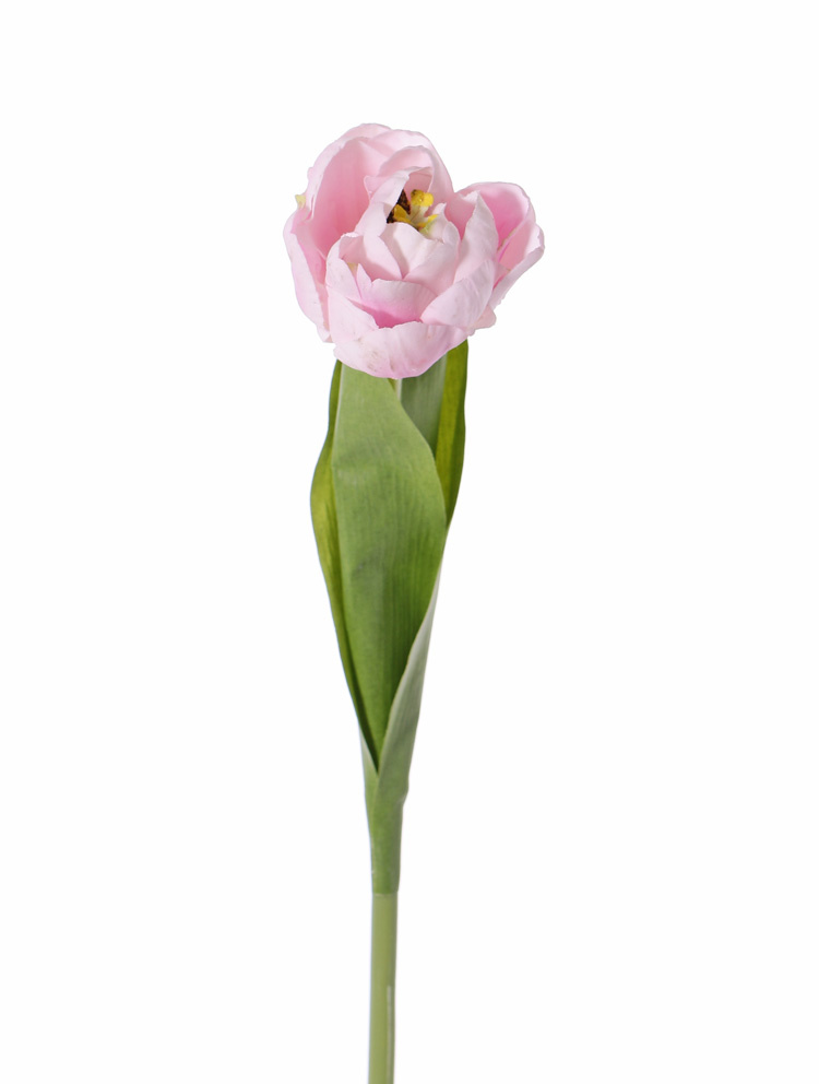 Tulp 'Full Bloom', x1 (ø6.5*5.5cm), 6 laags, 'Top Art 60!', 2 bladeren, REAL TOUCH, 45cm