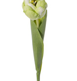 Tulipa 'Full Bloom',  (Ø 6.5 * 5.5cm), 6 capas del flor!, 'Top Art 60!', 2 hojas, REAL TOUCH, 45cm