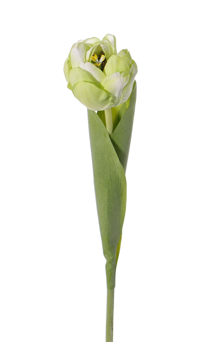 Tulp 'Full Bloom', x1 (ø6.5*5.5cm), 6 laags, 'Top Art 60!', 2 bladeren, REAL TOUCH, 45cm