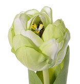 Tulip 'Full Bloom', (Ø 6.5 * 5.5cm), 6 layers, 'Top Art 60!', 2 lvs., REAL TOUCH, 45cm