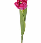 Tulipa 'Full Bloom',  (Ø 6.5 * 5.5cm), 6 capas del flor!, 'Top Art 60!', 2 hojas, REAL TOUCH, 45cm