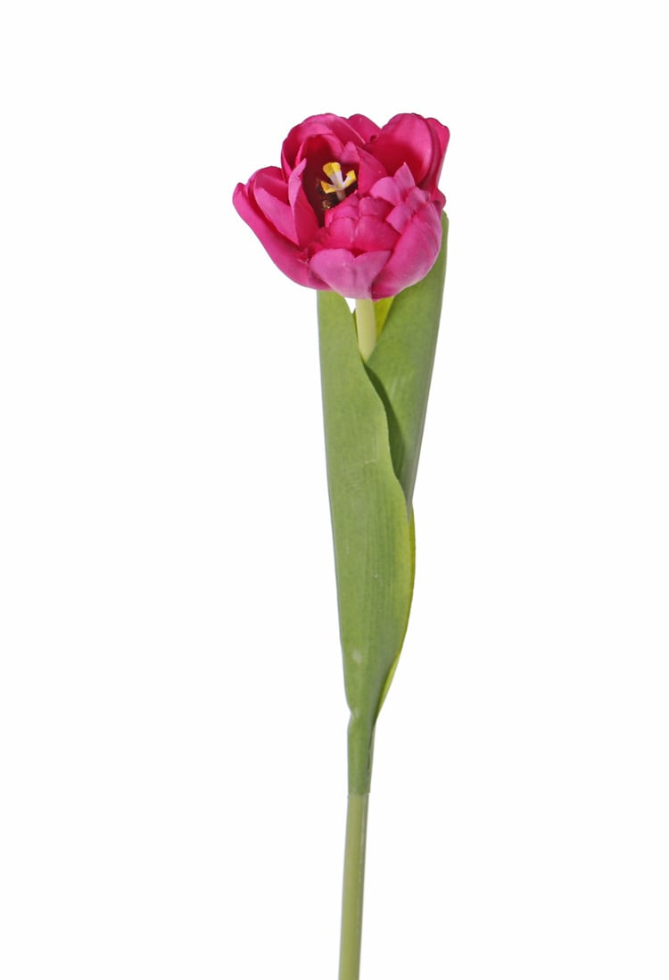 Tulipa 'Full Bloom',  (Ø 6.5 * 5.5cm), 6 capas del flor!, 'Top Art 60!', 2 hojas, REAL TOUCH, 45cm