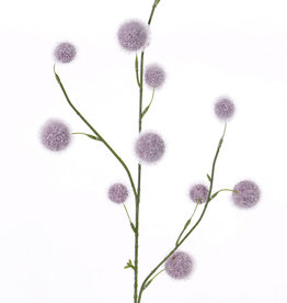 Allium (poliestireno) 'SummerBreeze' x3,  12 frutos (Ø 2,5 - 4cm),  80cm