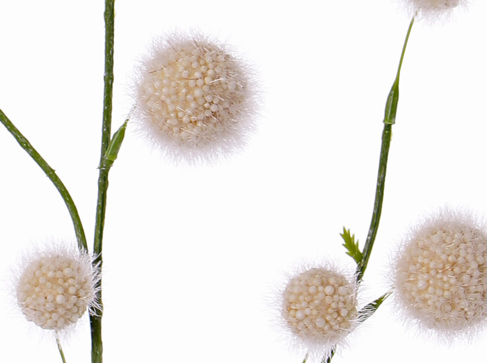 Allium branch (polystyreen) 'SummerBreeze' with 12 balls,  (Ø 2,5 - 4cm),  80cm