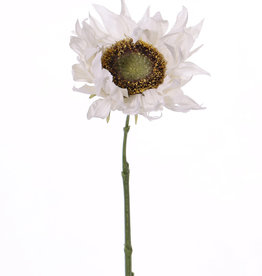 Sunflower 'SummerBreeze', Ø 12cm, 58cm