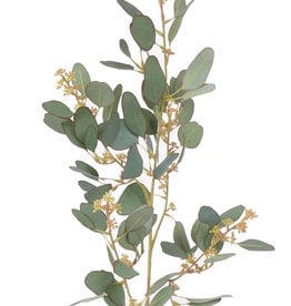 Eucalyptus spray, 78 lvs., 55 buds, 65cm - UV safe