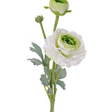 Ranonkel (Ranunculus) 2 bloem (Ø 9cm/ Ø 4cm), 1 knop & 4 blad, flocked, 40cm