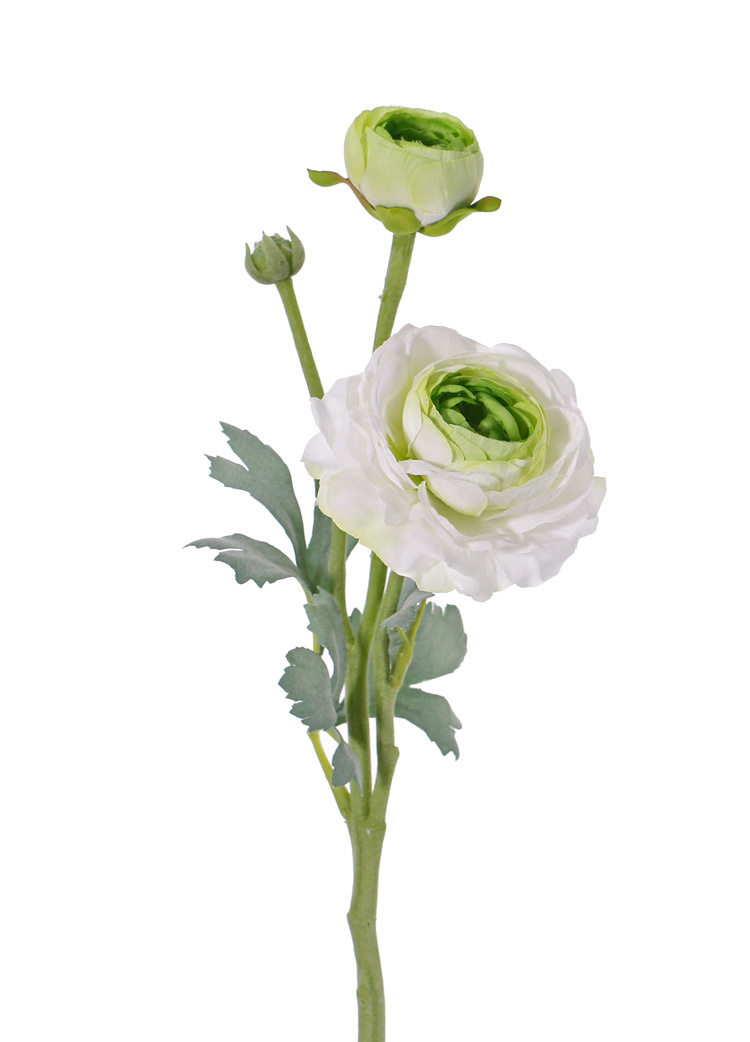 Ranunculus,  2 flores, (Ø 9cm/ Ø 4cm), 1 capullo,  4 hojas, flocado, 40cm